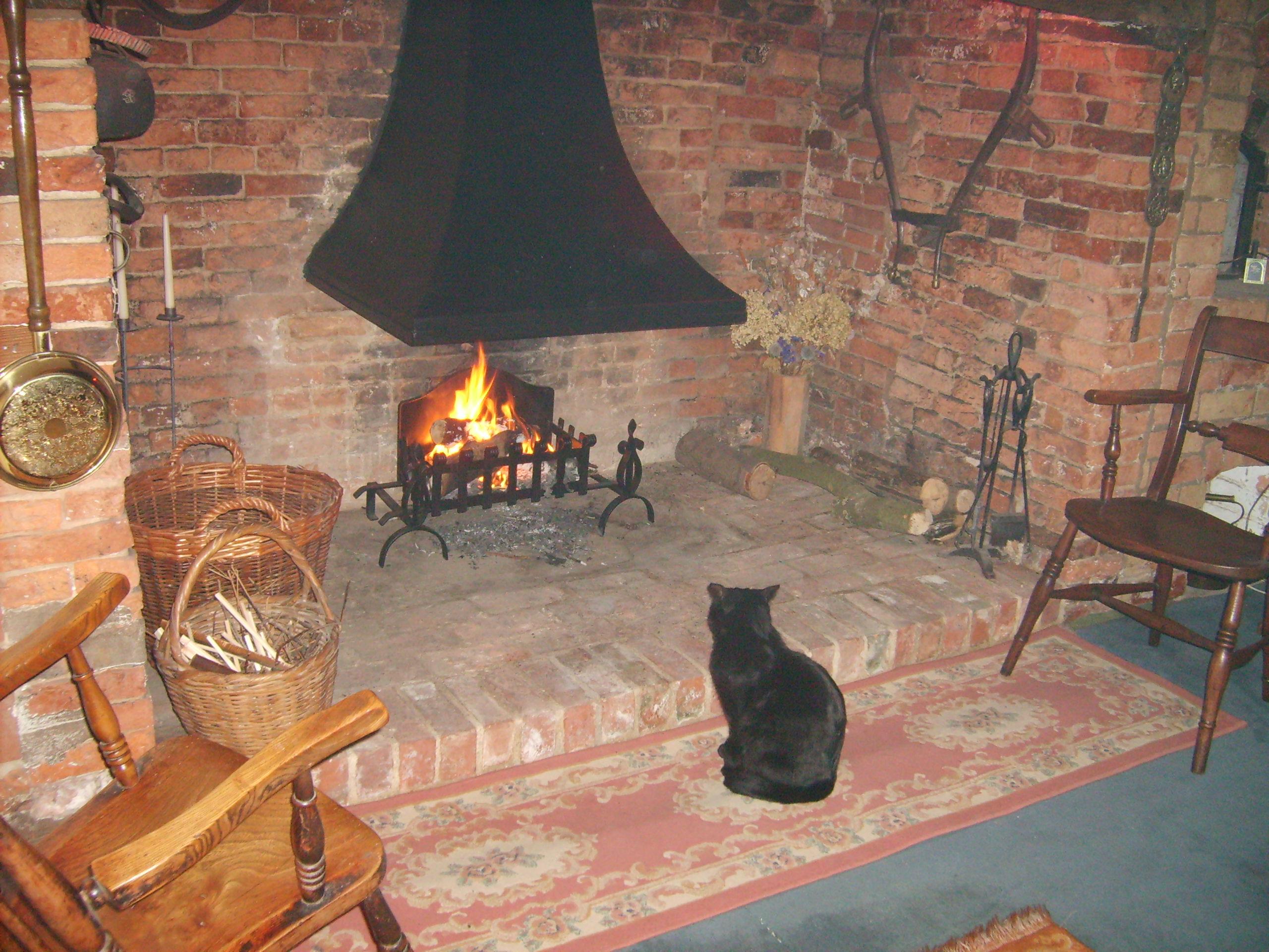 Inglenook Canopy and F1 Fire basket with Dogs